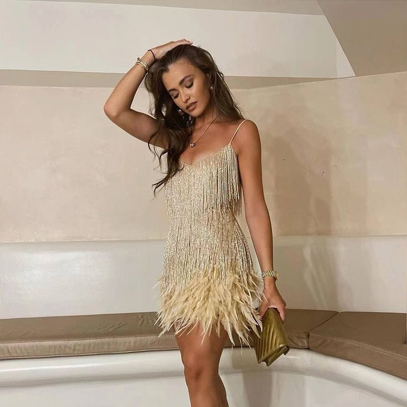 Women Mini Dress | Feather Trimmed Short Length Silhouette Design